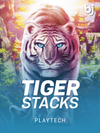 Tiger Stacks screenshot